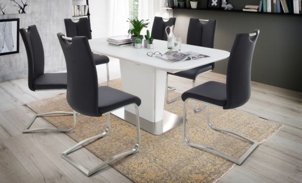 Freischwinger Leder