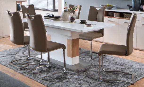 Freischwinger Leder braun