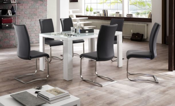 Freischwinger Leder grau