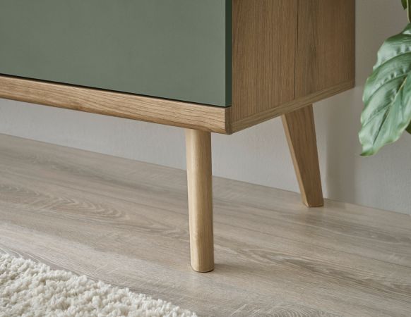 TV-Lowboard Juna in Salbei und Evoke Eiche TV Unterteil skandinavisch 107 x 50 cm