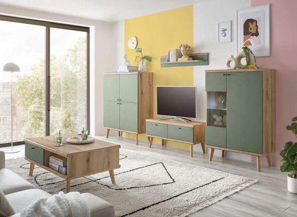 TV-Lowboard Juna in Salbei und Evoke Eiche TV Unterteil skandinavisch 107 x 50 cm
