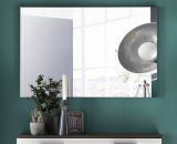 Garderobenspiegel Flur Wandspiegel grau 91 x 60 cm Smart