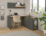 Aktenregal Center in grau matt und Wotan Eiche Standregal fr Homeoffice und Bro 40 x 70 cm