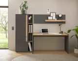Aktenschrank Center in grau matt und Wotan Eiche Stauraumschrank fr Homeoffice und Bro 50 x 158 cm