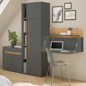 Büromöbel komplett Set Center in grau matt und Wotan Eiche mit Aktenschrank, Sekretär und Kommode für Homeoffice Büromöbel komplett Set Center in grau matt und Wotan Eiche mit Aktenschrank, Sekretär und Kommode für Homeoffice