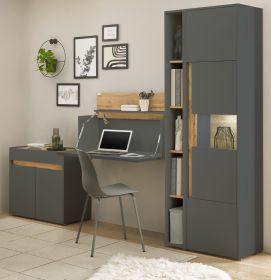 Büromöbel komplett Set Center in grau matt und Wotan Eiche mit Aktenschrank, Sekretär und Vitrine für Homeoffice Büromöbel komplett Set Center in grau matt und Wotan Eiche mit Aktenschrank, Sekretär und Vitrine für Homeoffice