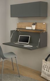 Büromöbel Set Center in grau matt und Wotan Eiche Büroschrank und Sekretär hängend für Homeoffice 100 cm Büromöbel Set Center in grau matt und Wotan Eiche Büroschrank und Sekretär hängend für Homeoffice 100 cm