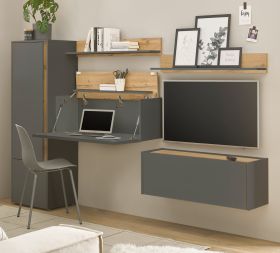 Wohnwand mit Sekretär Center in grau matt und Wotan Eiche Wohnkombination 5-teilig 250 cm Wohnwand mit Sekretär Center in grau matt und Wotan Eiche Wohnkombination 5-teilig 250 cm
